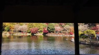 Showa Anıt Parkı Tokyo Doğal Manzara Manzarası, 4 Aralık 2024 