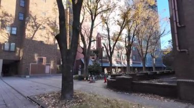 Tokyo Üniversitesi Japonya Prestijli Yüksek Öğrenim Kurumu, 7 Aralık 2024 