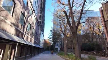 Tokyo Üniversitesi Japonya Prestijli Yüksek Öğrenim Kurumu, 7 Aralık 2024 