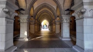 Tokyo Üniversitesi Japonya Prestijli Yüksek Öğrenim Kurumu, 7 Aralık 2024 