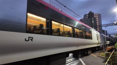 Yoyogi Tokyo Japonya Yeşil Şehir Parkı ve Halk Merkezi, 7 Aralık 2024 