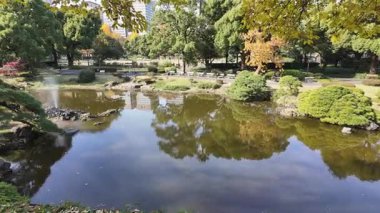 Hibiya Parkı Tokyo Sahnesi Şehir Yeşil Vahası, 5 Aralık 2024 