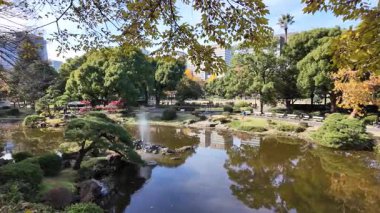 Hibiya Parkı Tokyo Sahnesi Şehir Yeşil Vahası, 5 Aralık 2024 