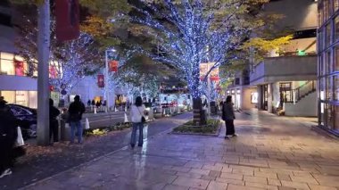 Roppongi Tokyo Japonya Canlı Eğlence ve İş Merkezi, 5 Aralık 2024 