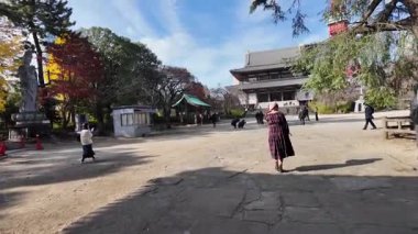 Zojoji Tapınağı Tokyo Tarih Tarihi Budist Tarihi Tarihi Görünümü, 5 Aralık 2024 