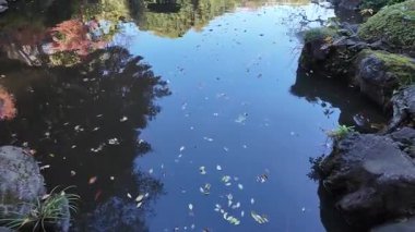 Kyu Furukawa Teien Tokyo Japon Tarihi Bahçesi ve Mansion View, 6 Aralık 2024 