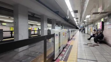 Akihabara İstasyonu Tokyo Ünlü Elektronik ve Anime Hub, 8 Aralık 2024 