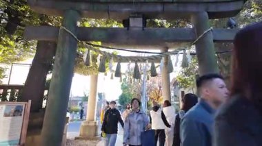 Kawagoe Hikawa Tapınağı Japon Tarihi ve Ruhsal Şatosu Tarihi Yer, 9 Aralık 2024 