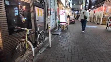 Parklar ve Müzeler ile Ueno Tokyo Japonya Kültür ve Tarih Bölgesi, 9 Aralık 2025