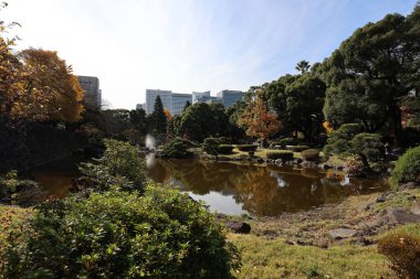 5 Aralık 2024 Park Sahnesi Yansıtıcı bir gölet ile çevrili canlı bir sonbahar