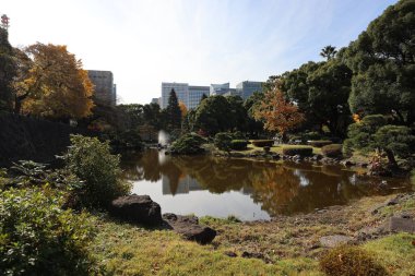 5 Aralık 2024 Park Sahnesi Yansıtıcı bir gölet ile çevrili canlı bir sonbahar