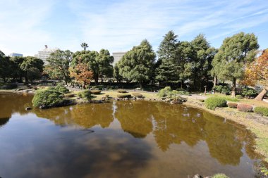 5 Aralık 2024 Park Sahnesi Yansıtıcı bir gölet ile çevrili canlı bir sonbahar