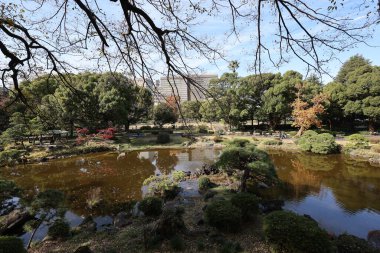 5 Aralık 2024 Park Sahnesi Yansıtıcı bir gölet ile çevrili canlı bir sonbahar