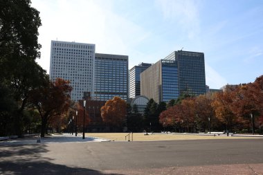 5 Aralık 2024 canlı ağaçların yer aldığı sonbahar boyunca manzaralı şehir parkı,