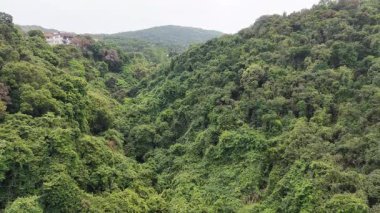 Mang Kung Uk Vadisi Hong Kong Doğal Manzara, 22 Şubat 2025 