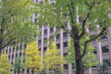 5 Aralık 2024 Şehir Caddesi manzaralı yüksek ofis binaları,