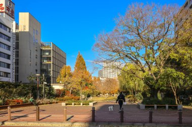7 Aralık 2024 modern binalarla çevrili şehir parkı ortamı