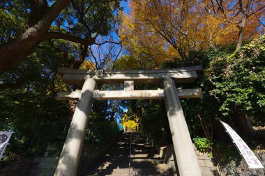 10 Aralık 2024 Torii kapısı canlı sonbahar ile çevrili bir merdivene açılıyor.