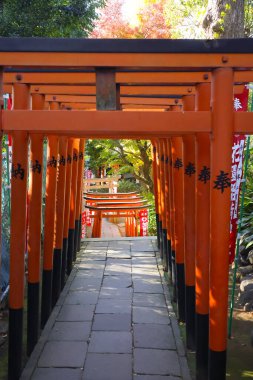 10 Aralık 2024 manzaralı yol yemyeşil bir bahçede geleneksel kırmızı torii kapılarıyla kaplı.