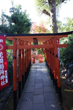 10 Aralık 2024 manzaralı yol yemyeşil bir bahçede geleneksel kırmızı torii kapılarıyla kaplı.