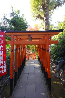 10 Aralık 2024 manzaralı yol yemyeşil bir bahçede geleneksel kırmızı torii kapılarıyla kaplı.