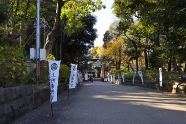 10 Aralık 2024 'te bayraklarla süslenmiş patika geleneksel bir Torii kapısına çıkıyor.,