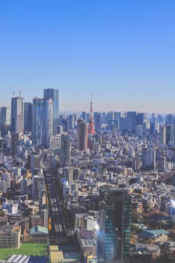 10 Aralık 2024 Tokyo şehir siluetinin görüntüsü, ikonik kırmızı Tokyo Kulesi 'nin