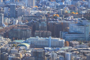 10 Aralık 2024 Şehir yapılarının yoğun bir düzenini gösteren detaylı hava görüntüsü