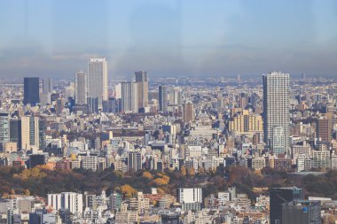 10 Aralık 2024 Metropolitan gökdelenleri ikonik modern gökdelenlerini gözler önüne seriyor,