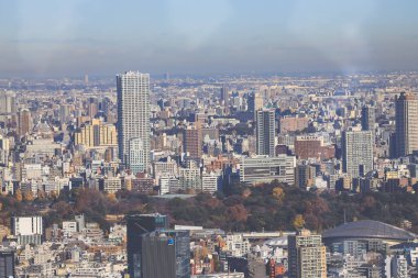 10 Aralık 2024 Metropolitan gökdelenleri ikonik modern gökdelenlerini gözler önüne seriyor,