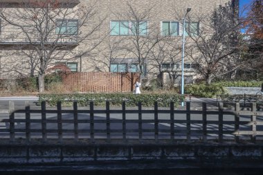 9 Aralık 2024 Yapraksız ağaçlar ve mimariyle çevrili bir şehir caddesi.