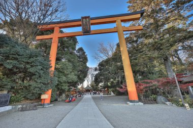 9 Aralık 2024 Torii kapısı yemyeşil ve ağaç siluetleri arasında duruyor.