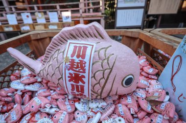 9 Aralık 2024 1500 Yıllık Çöpçatanlık Tapınağı Kawagoe Hikawa Tapınağı