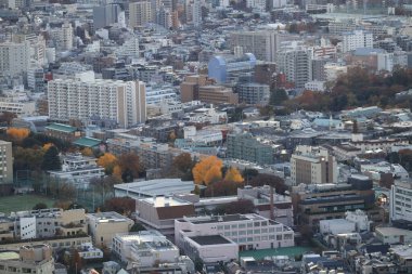 6 Aralık 2024 görüntüsü, sayısız binayla dolu geniş bir şehir alanını gösteriyor.