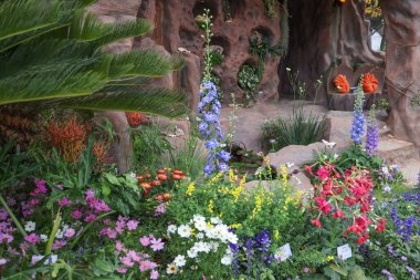 Renkli bahçe sahnesi çeşitli bitkiler ve çiçekler sergiliyor,