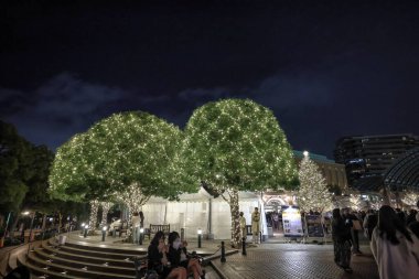 Gece dekore edilmiş bir binanın sergilenmesi, aydınlatılmış ağaç 7 Aralık 2024