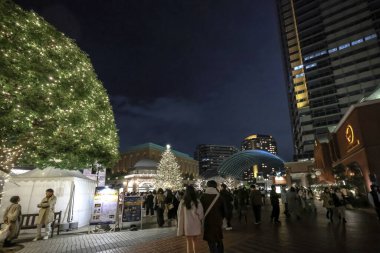 Gece dekore edilmiş bir binanın sergilenmesi, aydınlatılmış ağaç 7 Aralık 2024