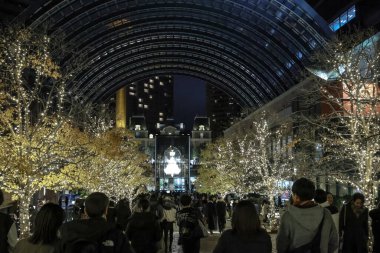 7 Aralık 2024 büyüleyici festival ışıklarıyla çağdaş bir kış sahnesini keşfediyor.,