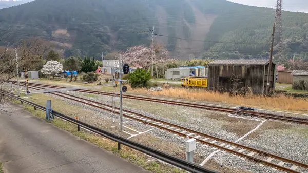 26 Mart 2025 'te ağaçlarla çevrili sakin bir kırsal alanda izler uzanıyor.