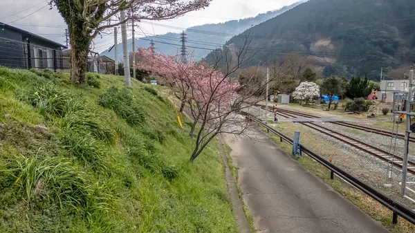 26 Mart 2025 Çiçeklerle çevrili huzurlu demiryolu rayları,