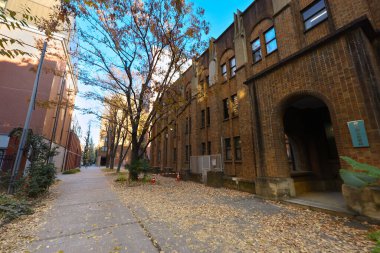 7 Aralık 2024 Üniversite kampüsünün güzel bir sonbahar sahnesi