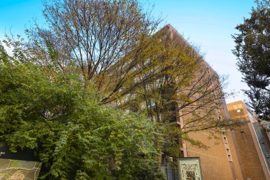 Görkemli Ağaçlar ve Canlı Aralık 2024 Sonbahar Kampüsü Sahnesi