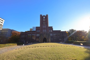 Gökyüzü ve sonbahar yapraklarıyla çerçevelenmiş, saat kulesi olan bir bina.