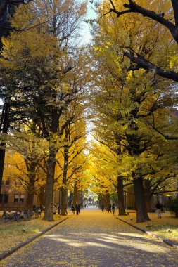 Açık gökyüzü tarafından çerçevelenmiş, saat kulesi olan akademik bina, 7 Aralık 2024