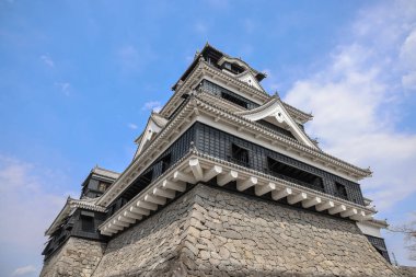 24 Mart 2025 Karışık mimari içeren tarihi bir Japon kalesi,