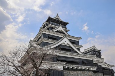 24 Mart 2025 Japon kalesi, geleneksel mimari, yükseltilmiş taş