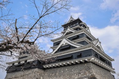 24 Mart 2025 Geleneksel Japon kalesi çiçek açan kirazların arasına kurulmuştur