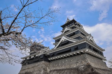 24 Mart 2025 Geleneksel Japon kalesi çiçek açan kirazların arasına kurulmuştur