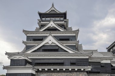 24 Mart 2025 Karmaşık Japon kalesi