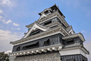 24 Mart 2025 Karmaşık Japon kalesi